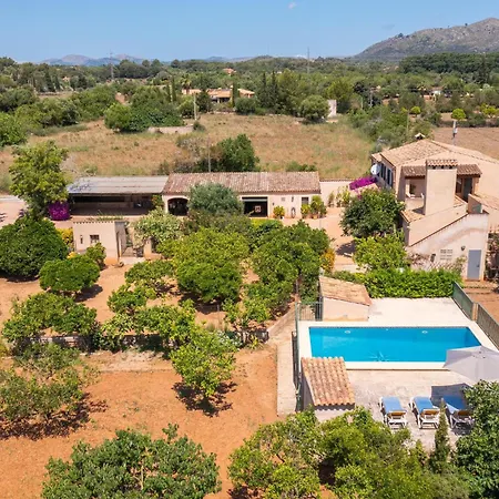 Ideal Mallorca - Petit *